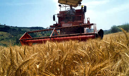 Agricoltura biologica